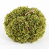 Faux 10 Inch Moss Pumpkin