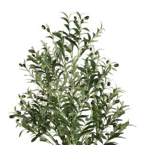 Safavieh Faux Olive 60" Potted Tree FXP2007A
