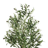 Safavieh Faux Olive 60" Potted Tree FXP2007A