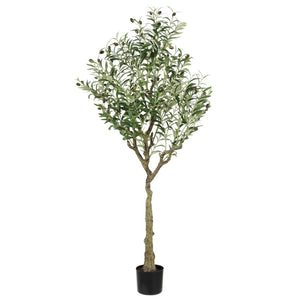 Safavieh Faux Olive 60" Potted Tree FXP2007A