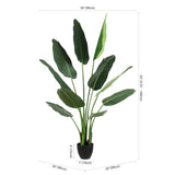 Safavieh Faux Banana 63" Potted Leaves FXP2008A