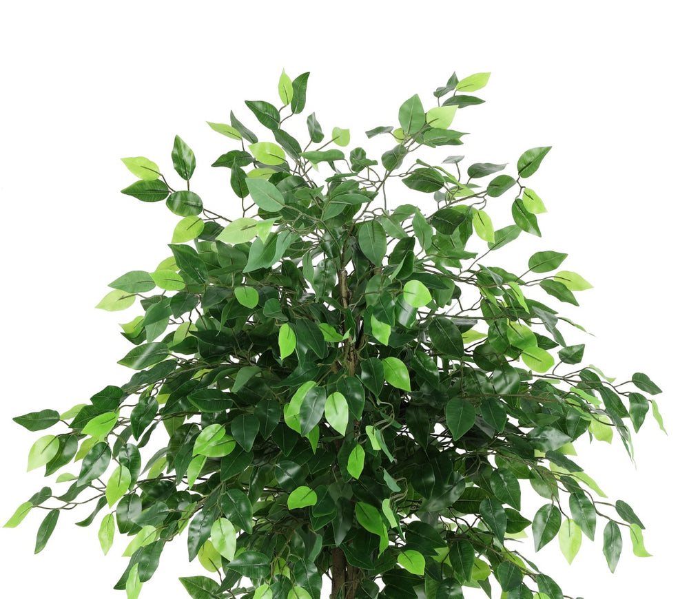 Safavieh Faux Bush Ficus 55" Potted Tree FXP2014A