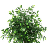 Safavieh Faux Bush Ficus 55" Potted Tree FXP2014A