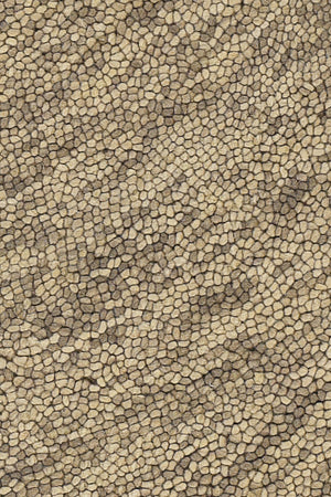 Chandra Rugs Galaxy 100% Wool Hand-Tufted Contemporary Rug Beige/Taupe 7'9 x 10'6