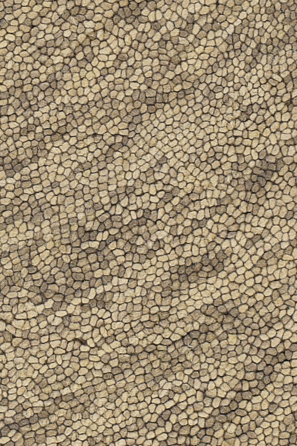 Chandra Rugs Galaxy 100% Wool Hand-Tufted Contemporary Rug Beige/Taupe 7'9 x 10'6