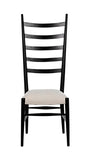 Noir Ladder Chair GCHA132HB