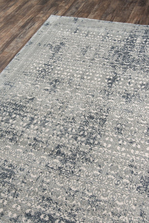 Momeni Genevieve GNV-3 Machine Made Traditional Distressed Design Indoor Area Rug Sage 8'11" x 12'6" GENEVGNV-3SAG8BC6