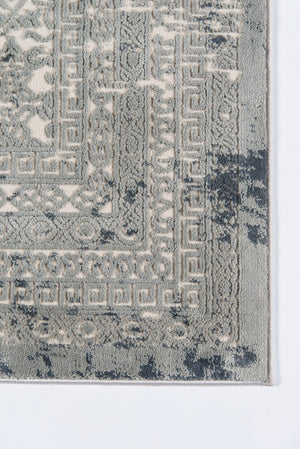 Momeni Genevieve GNV-3 Machine Made Traditional Distressed Design Indoor Area Rug Sage 8'11" x 12'6" GENEVGNV-3SAG8BC6