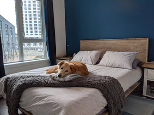 LH Imports Gia Bed GIA001KB