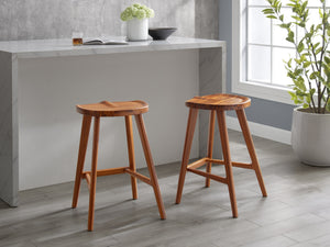 Greenington Max Stool in Counter Height-Boxed set of 2 - Set of 2 GM0008AM