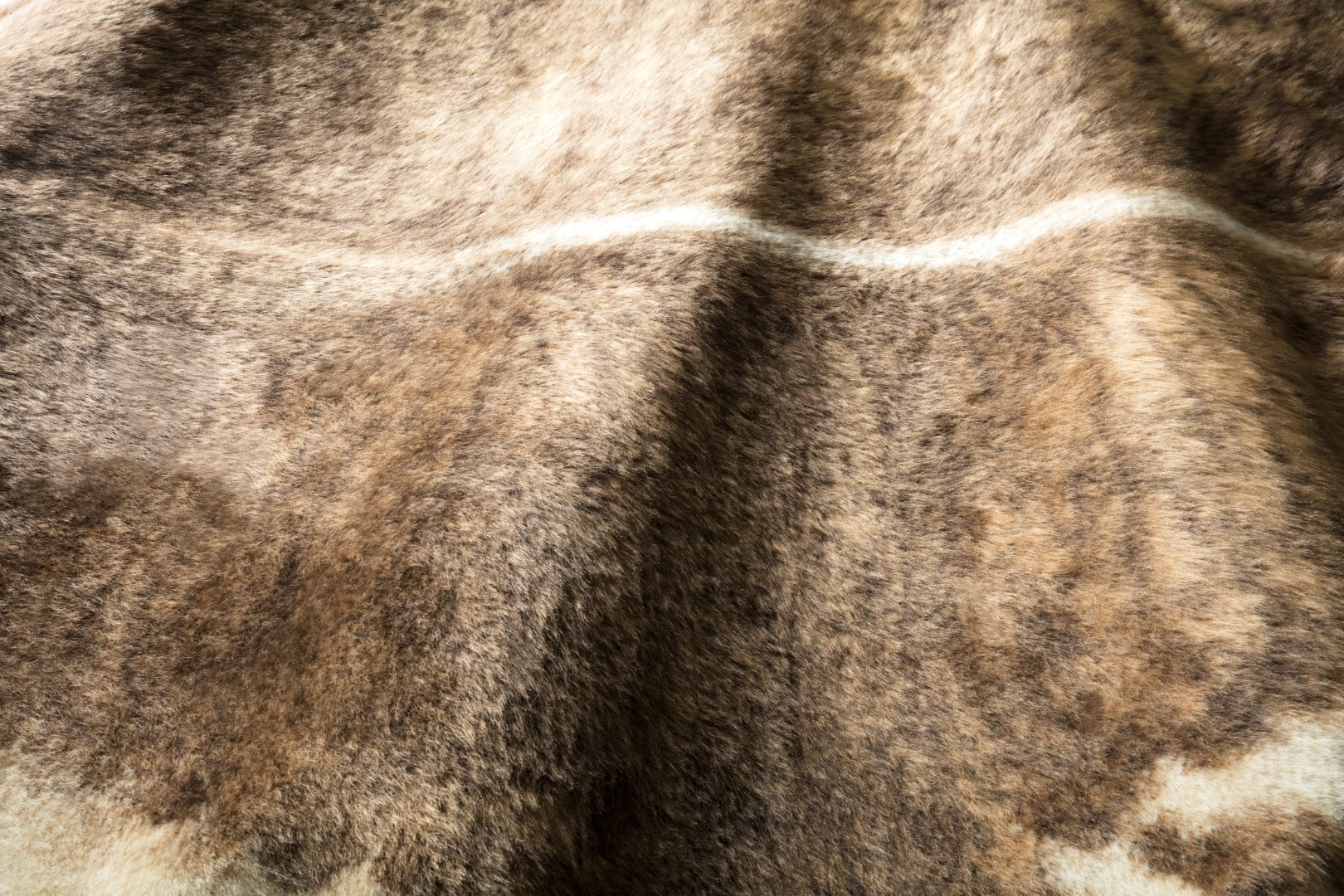 Loloi Grand Canyon Area Rug - Thumbnail 4