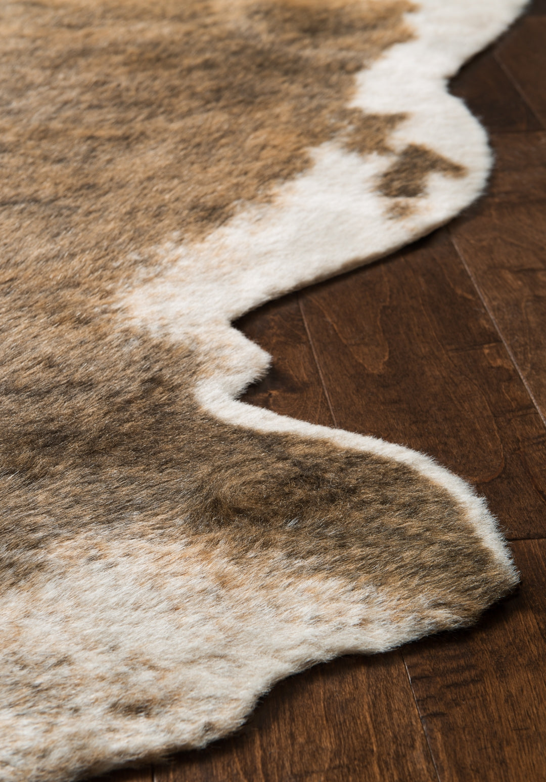 Loloi Grand Canyon Area Rug
