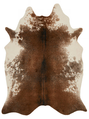 Loloi Grand Canyon GC-14 48% Acrylic, 32% Modacrylic, 20% Polyester Power Loomed Transitional Rug GRANGC-14CFIV6280