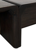 Noir Hagen Coffee Table GTAB1071EB