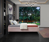 Ghost Acrylic / Velvet / Engineered Wood / Metal / Foam Contemporary Pink Velvet Twin Bed - 44" W x 81" D x 50" H