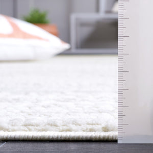 Safavieh Hanna 108 Power Loomed Transitional Rug Grey Ivory / Dark Grey 9' x 12'