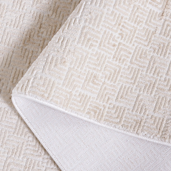 Safavieh Hanna 110 Power Loomed Transitional Rug Beige / Ivory 9' x 12'