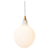 Mimas White Glass Pendant Lighting