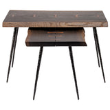 Nexa Seared Wood Side Table
