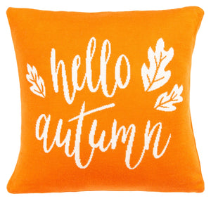 Hello Autumn Pillow