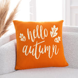 Hello Autumn Pillow