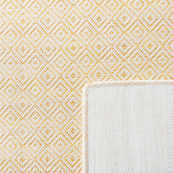 Safavieh Hampton 230 Power Loomed 100% Polypropylene Indoor/Outdoor Rug HTN230C-9