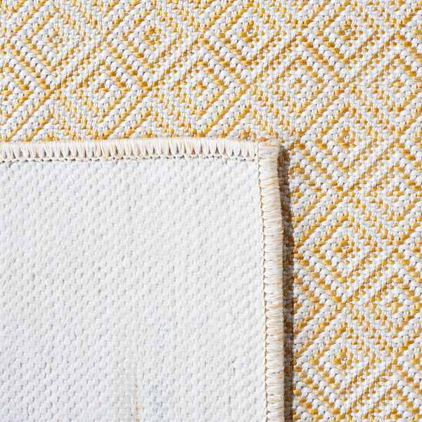 Safavieh Hampton 230 Power Loomed 100% Polypropylene Indoor/Outdoor Rug HTN230C-9