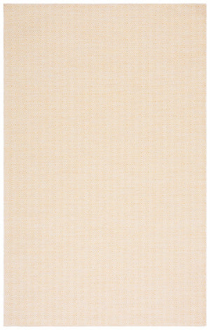 Safavieh Hampton 230 Power Loomed 100% Polypropylene Indoor/Outdoor Rug HTN230C-9