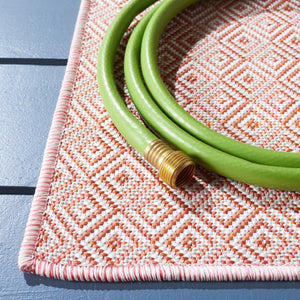 Safavieh Hampton 230 Power Loomed 100% Polypropylene Indoor/Outdoor Rug HTN230S-9