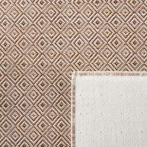 Safavieh Hampton 230 Power Loomed 100% Polypropylene Indoor/Outdoor Rug HTN230T-9