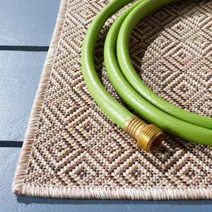 Safavieh Hampton 230 Power Loomed 100% Polypropylene Indoor/Outdoor Rug HTN230T-9