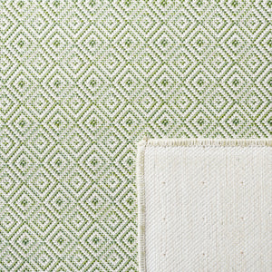 Safavieh Hampton 230 Power Loomed 100% Polypropylene Indoor/Outdoor Rug HTN230Y-9