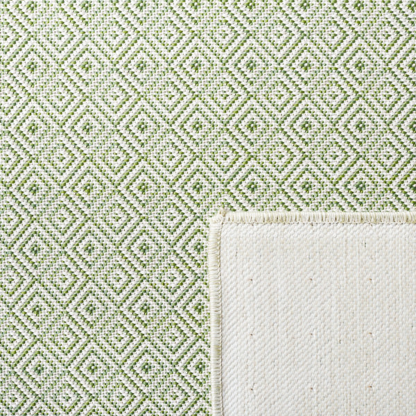 Safavieh Hampton 230 Power Loomed 100% Polypropylene Indoor/Outdoor Rug HTN230Y-9