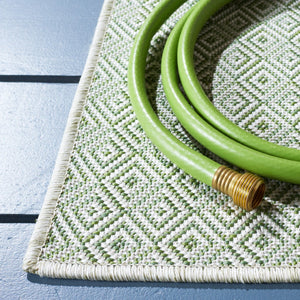 Safavieh Hampton 230 Power Loomed 100% Polypropylene Indoor/Outdoor Rug HTN230Y-9