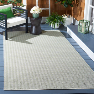 Safavieh Hampton 230 Power Loomed 100% Polypropylene Indoor/Outdoor Rug HTN230Y-9