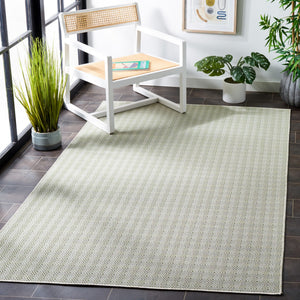 Safavieh Hampton 230 Power Loomed 100% Polypropylene Indoor/Outdoor Rug HTN230Y-9