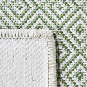 Safavieh Hampton 230 Power Loomed 100% Polypropylene Indoor/Outdoor Rug HTN230Y-9