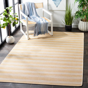 Safavieh Hampton 231 Power Loomed 100% Polypropylene Indoor/Outdoor Rug HTN231C-9