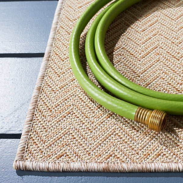 Safavieh Hampton 233 Power Loomed 100% Polypropylene Indoor/Outdoor Rug HTN233B-9