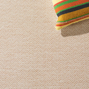 Safavieh Hampton 233 Power Loomed 100% Polypropylene Indoor/Outdoor Rug HTN233B-9