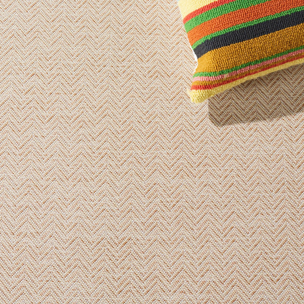 Safavieh Hampton 233 Power Loomed 100% Polypropylene Indoor/Outdoor Rug HTN233B-9