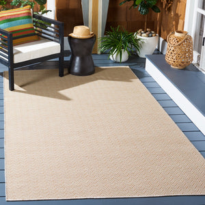 Safavieh Hampton 233 Power Loomed 100% Polypropylene Indoor/Outdoor Rug HTN233B-9
