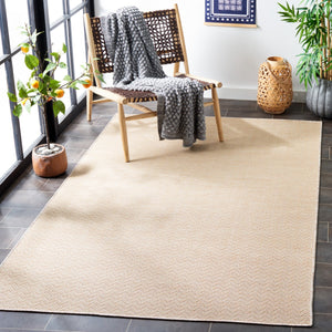 Safavieh Hampton 233 Power Loomed 100% Polypropylene Indoor/Outdoor Rug HTN233B-9