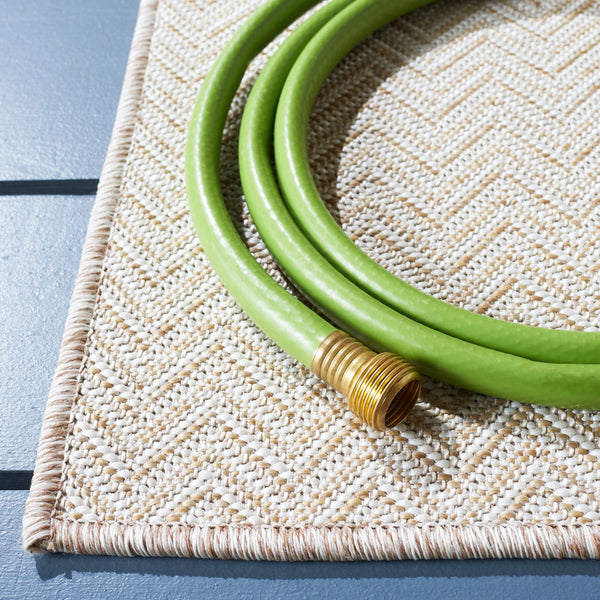 Safavieh Hampton 233 Power Loomed 100% Polypropylene Indoor/Outdoor Rug HTN233E-9