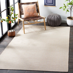 Safavieh Hampton 233 Power Loomed 100% Polypropylene Indoor/Outdoor Rug HTN233E-9
