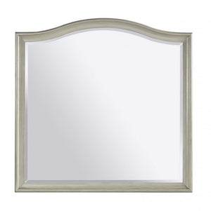 Aspenhome Charlotte Transitional Landscape Mirror I218-462-SHL