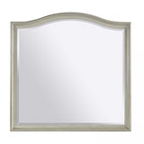 Aspenhome Charlotte Transitional Landscape Mirror I218-462-SHL