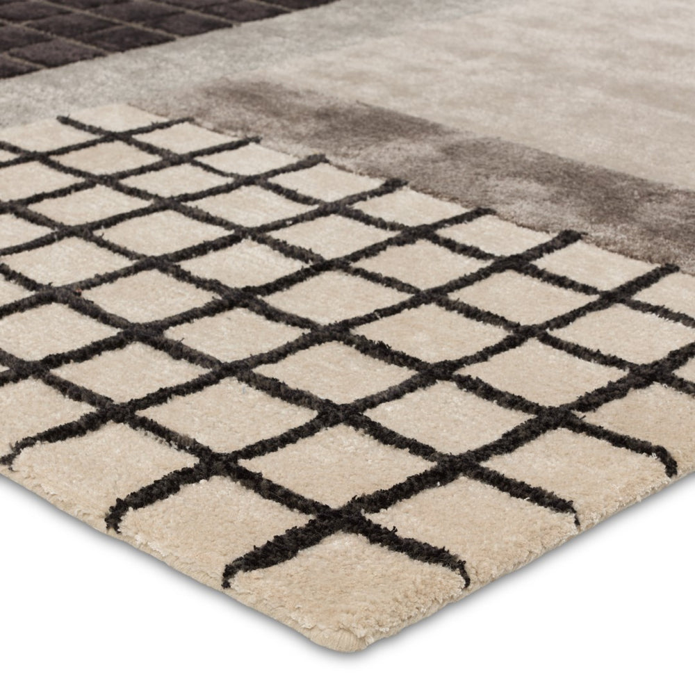 Jaipur Living Iconic Aramina ICO11 Hand Tufted 55% Viscose 45% Wool Abstract Area Rug Gray 55% Viscose 45% Wool RUG156303