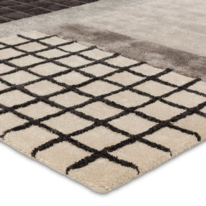 Jaipur Living Iconic Aramina ICO11 Hand Tufted 55% Viscose 45% Wool Abstract Area Rug Gray 55% Viscose 45% Wool RUG156303