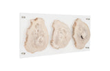 Floating Petrified Triple Slice Wall Art